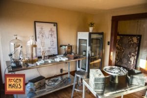 ReGEN Haus - Gallery Image