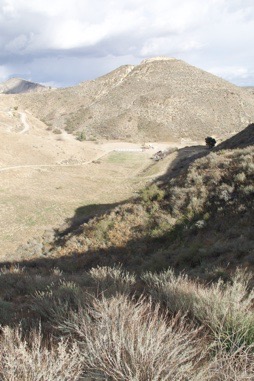 The Compound - Gallery Image