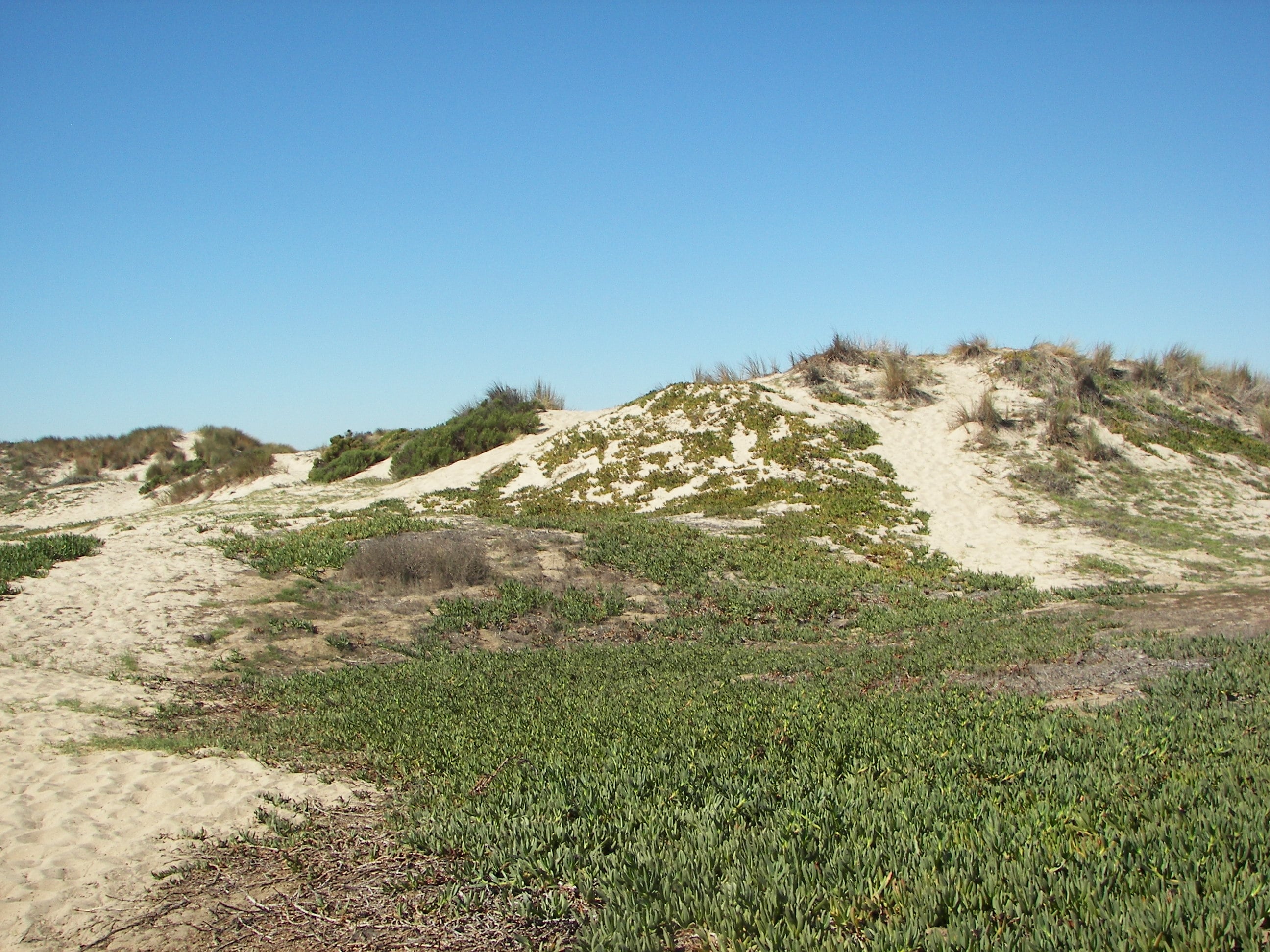 Oxnard Beach Park - Gallery Image