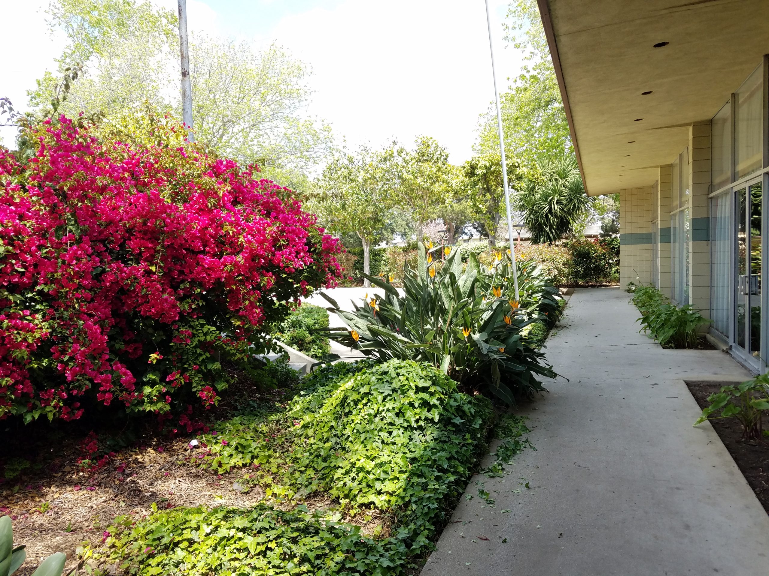 Oxnard Performing Arts and Convention Center - Gallery Image