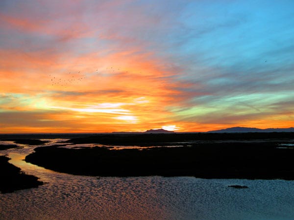 Harbor Wetlands - Hero Image