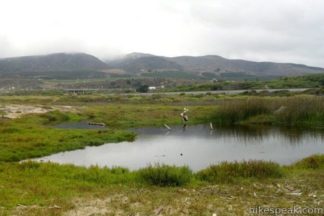 Seaside Wilderness Park - Hero Image