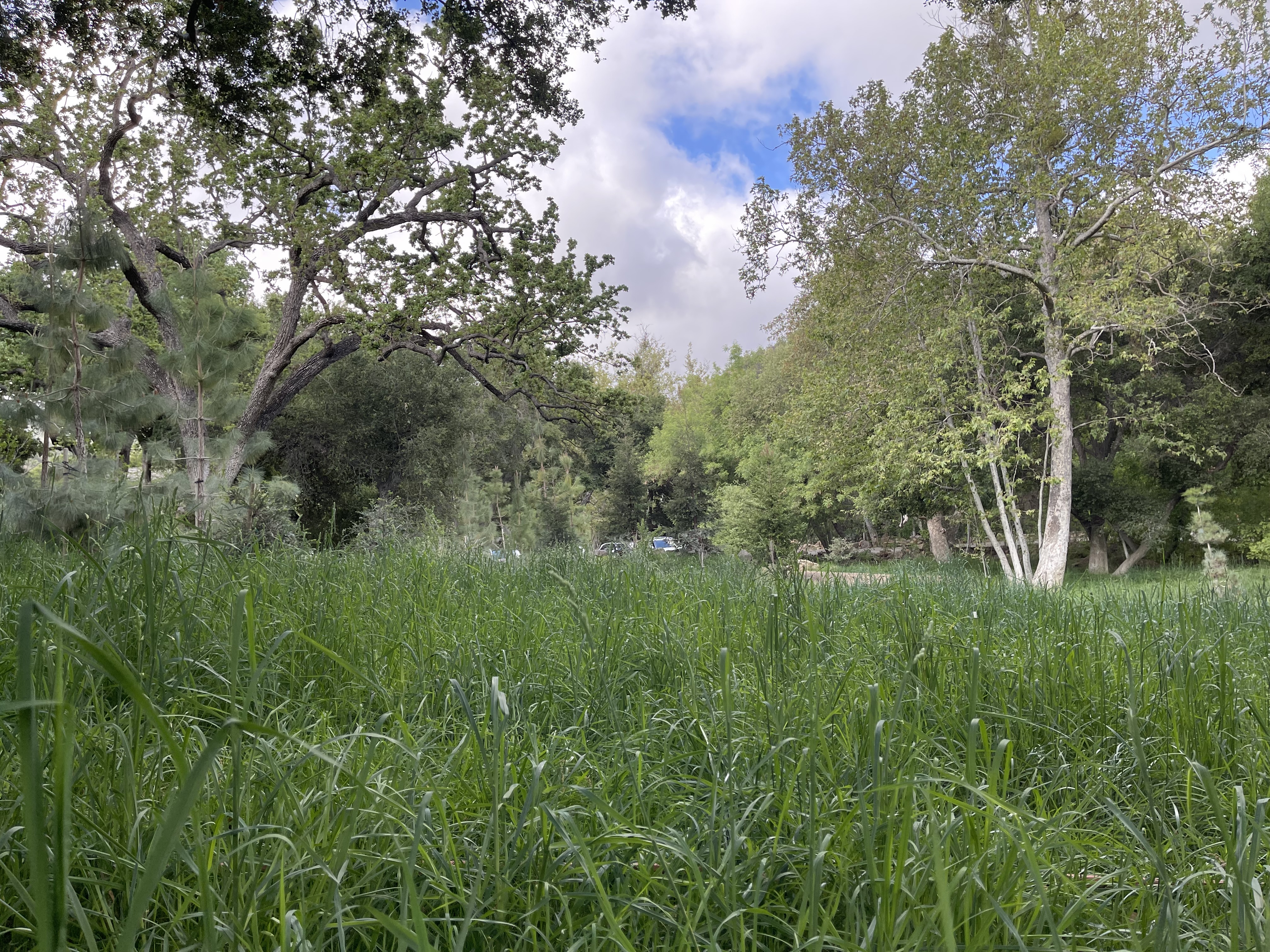 Canyon Ranch - Gallery Image