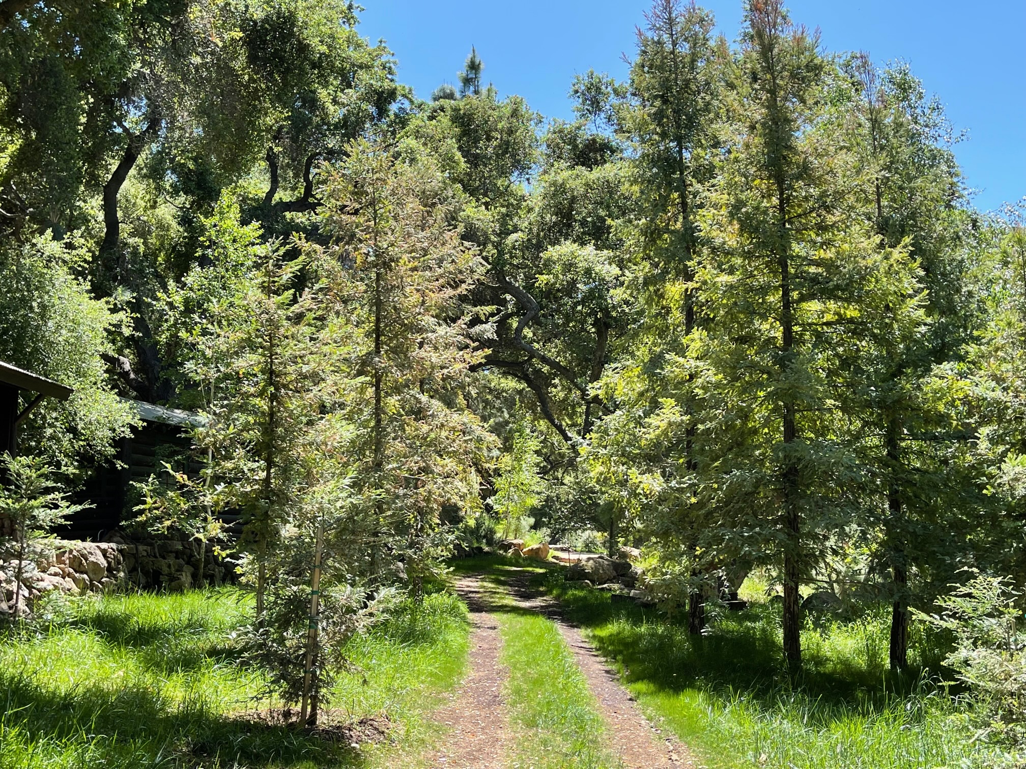 Canyon Ranch - Gallery Image