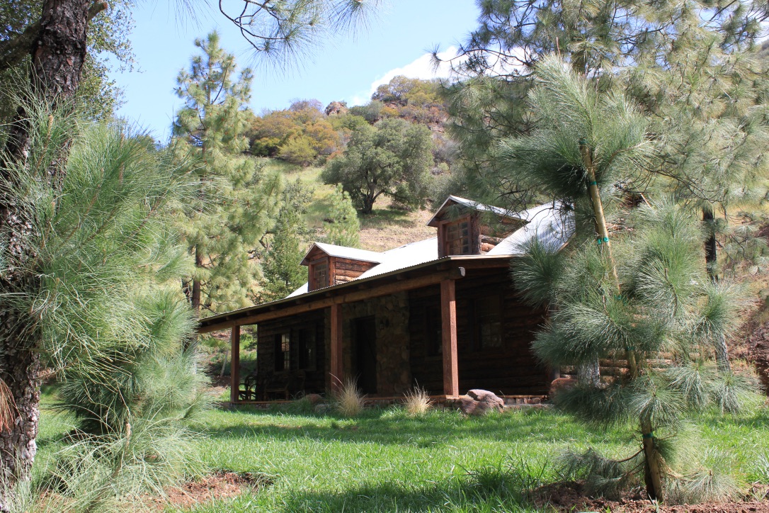 Canyon Ranch - Gallery Image