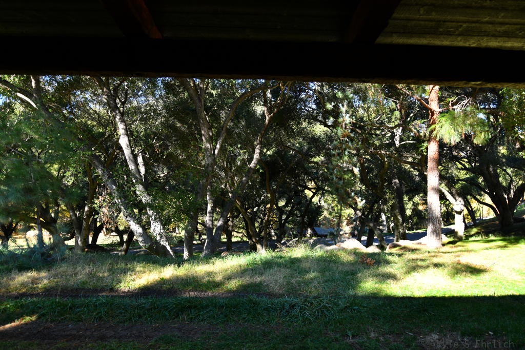 Canyon Ranch - Gallery Image