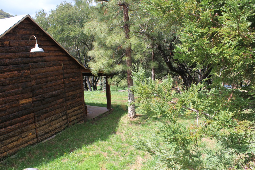 Canyon Ranch - Gallery Image