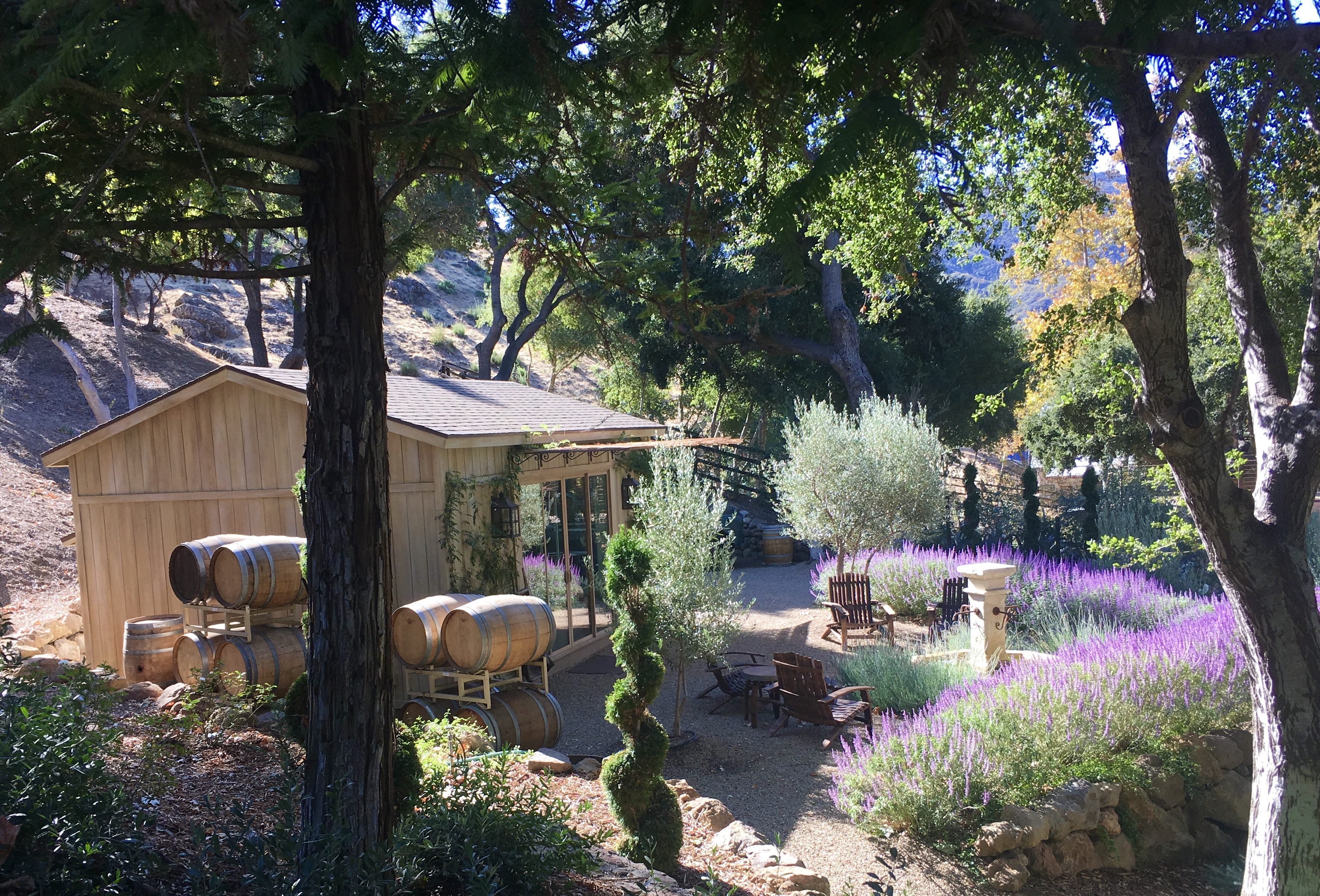 Canyon Ranch - Gallery Image