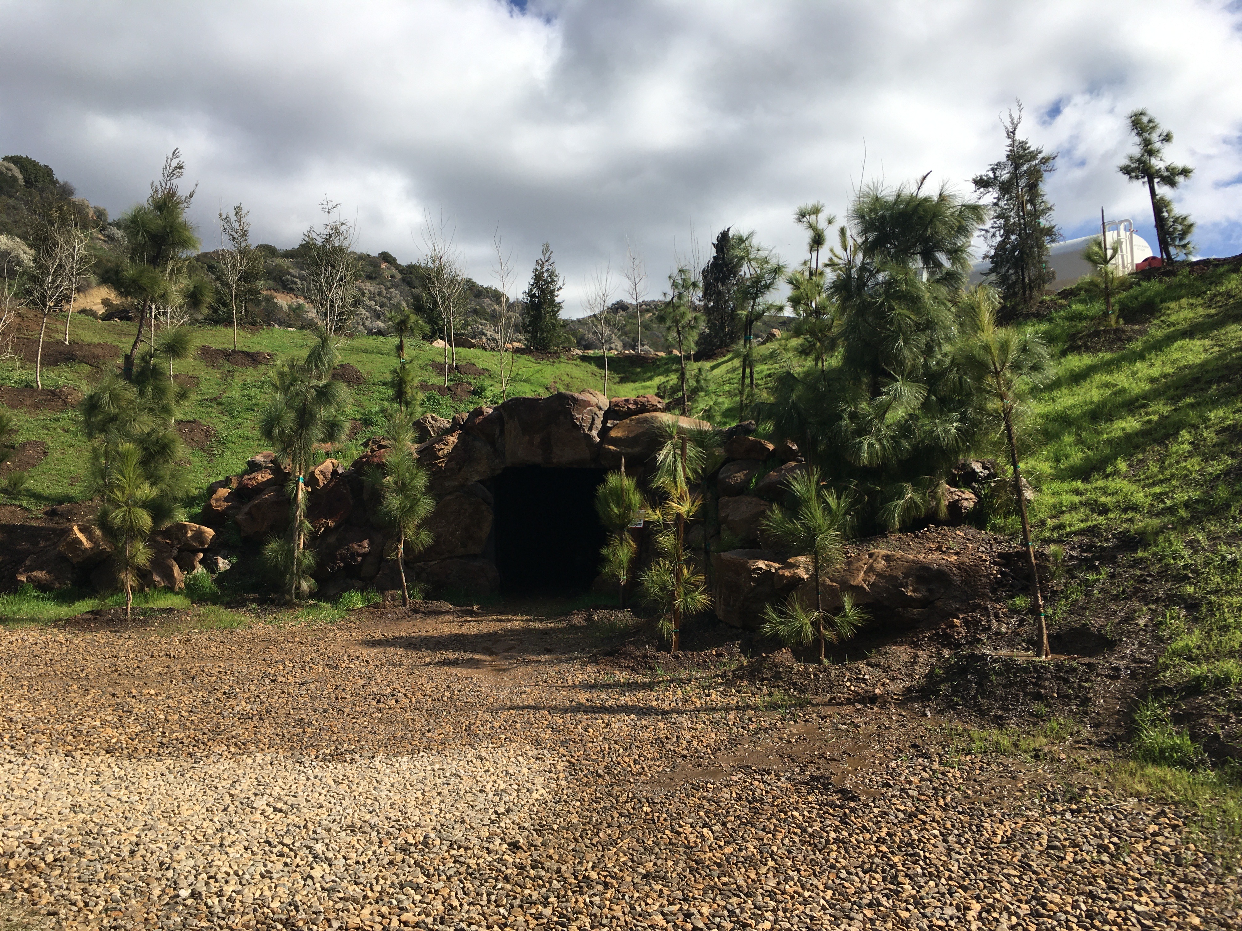 Canyon Ranch - Gallery Image