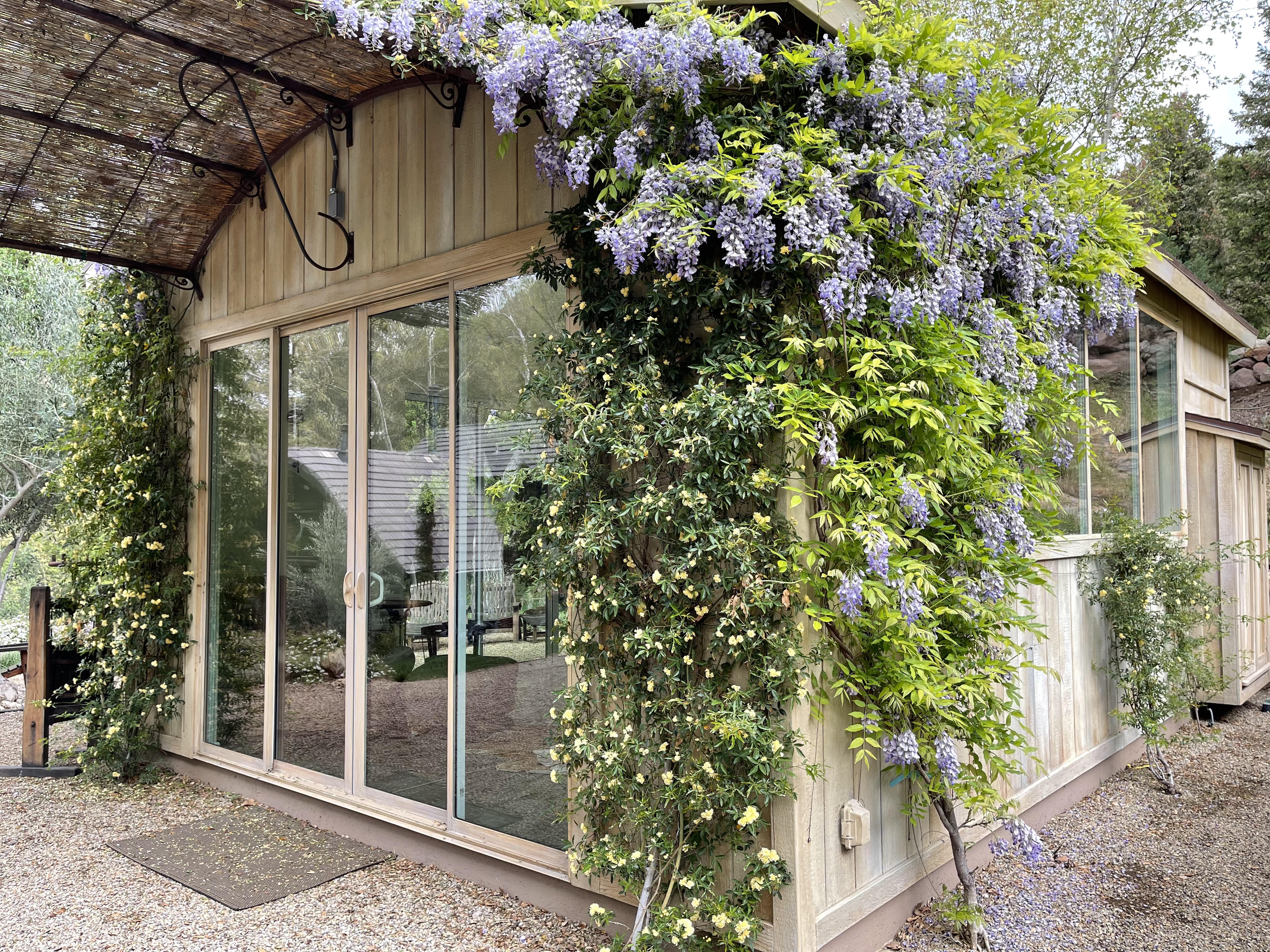 Canyon Ranch - Gallery Image