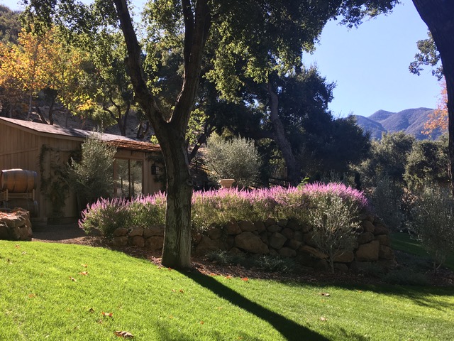 Canyon Ranch - Gallery Image