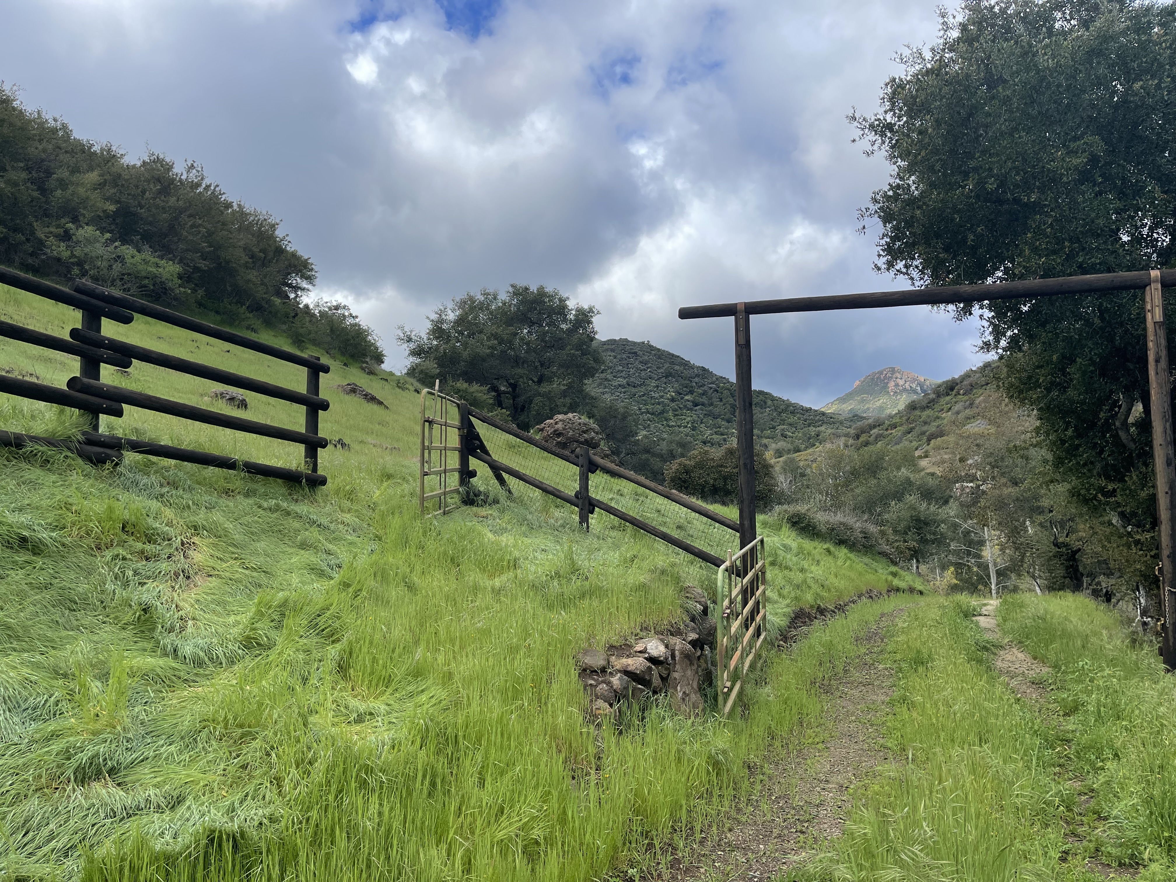 Canyon Ranch - Gallery Image