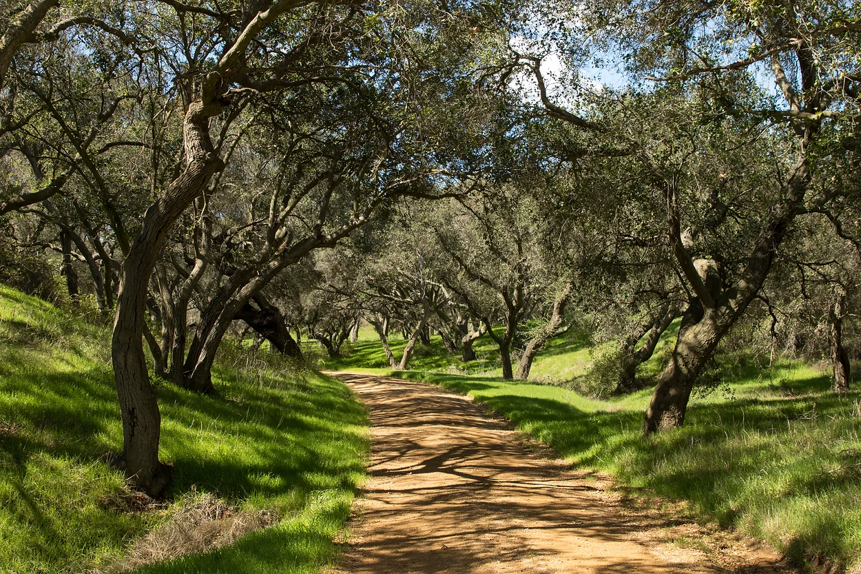 Ventura Farms - Gallery Image