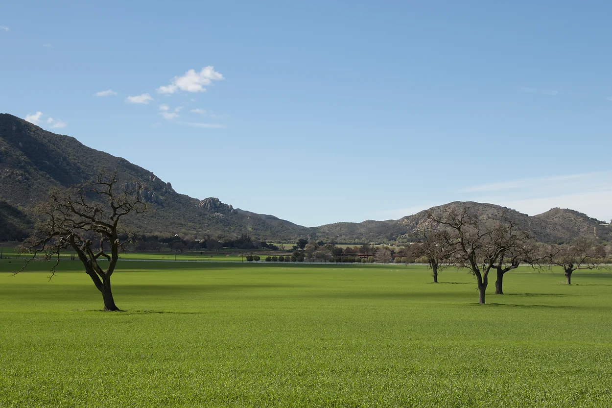Ventura Farms - Gallery Image