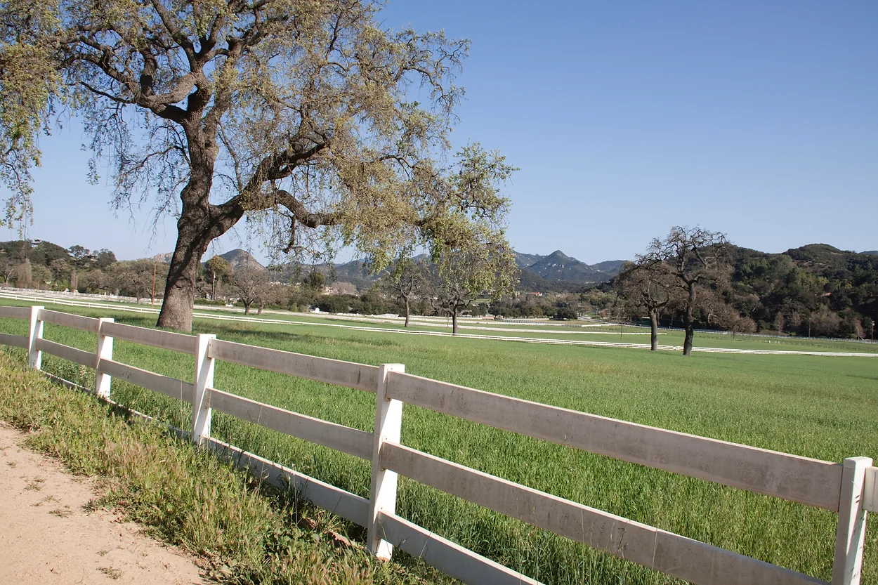 Ventura Farms - Gallery Image