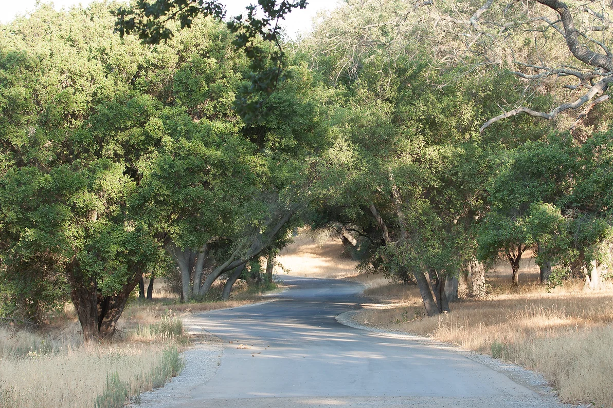 Ventura Farms - Gallery Image