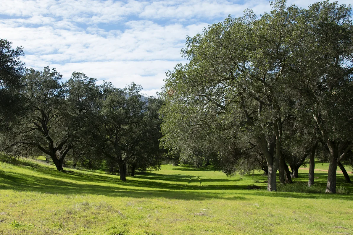 Ventura Farms - Gallery Image