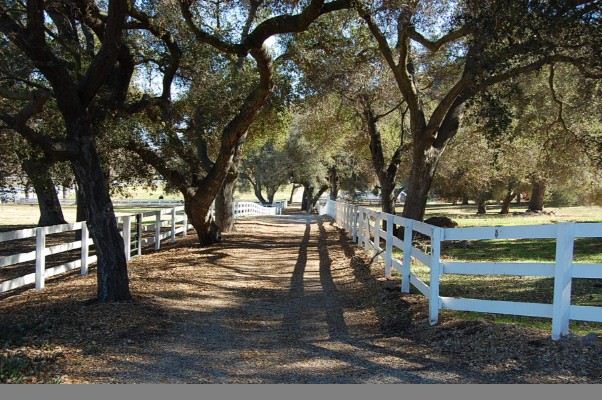 JMJ Ranch - Hero Image