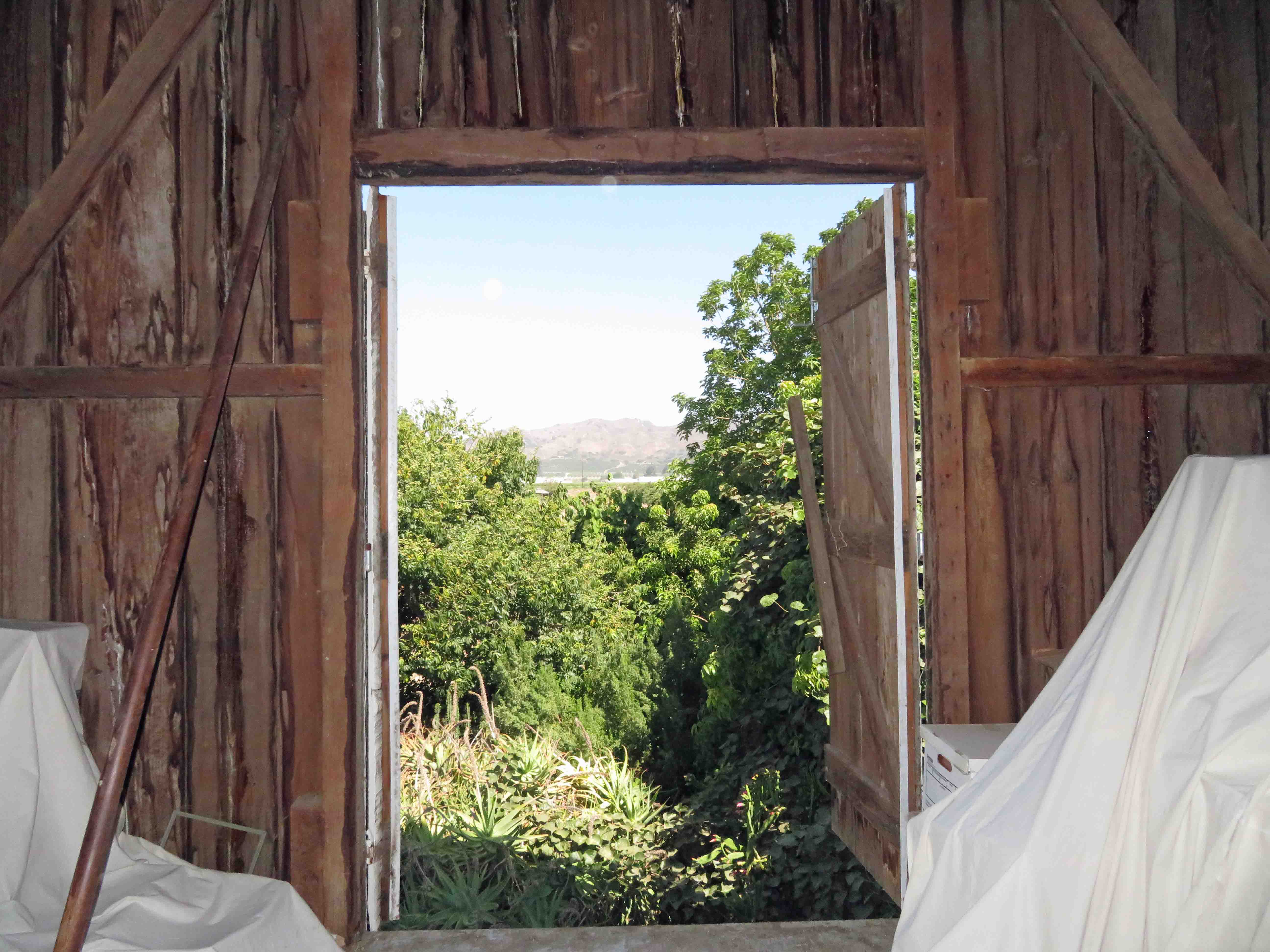 Fig Tree Ranch Farm with '20's house and barn Susan Caughey - Gallery Image