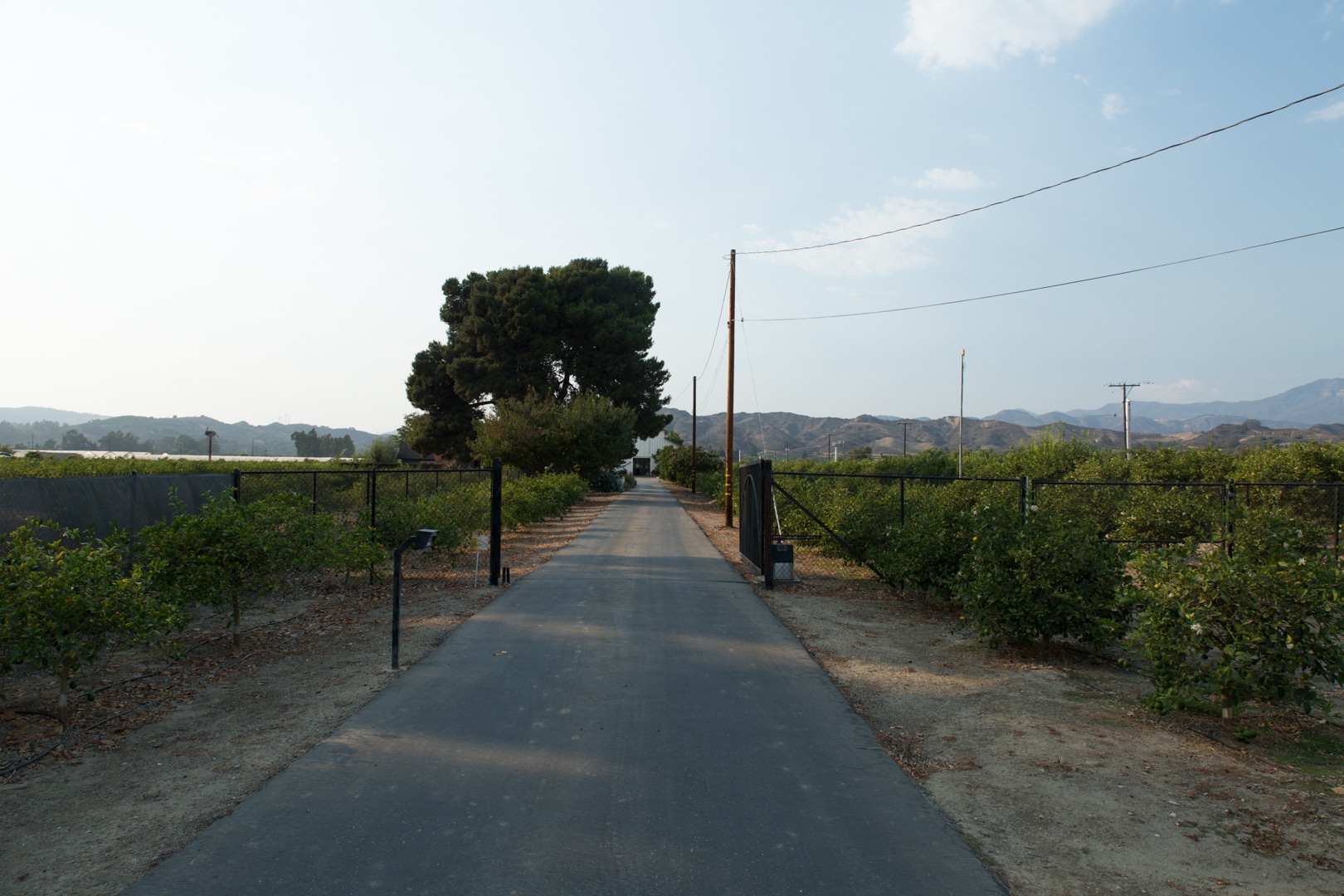 Fig Tree Ranch Farm with '20's house and barn Susan Caughey - Gallery Image