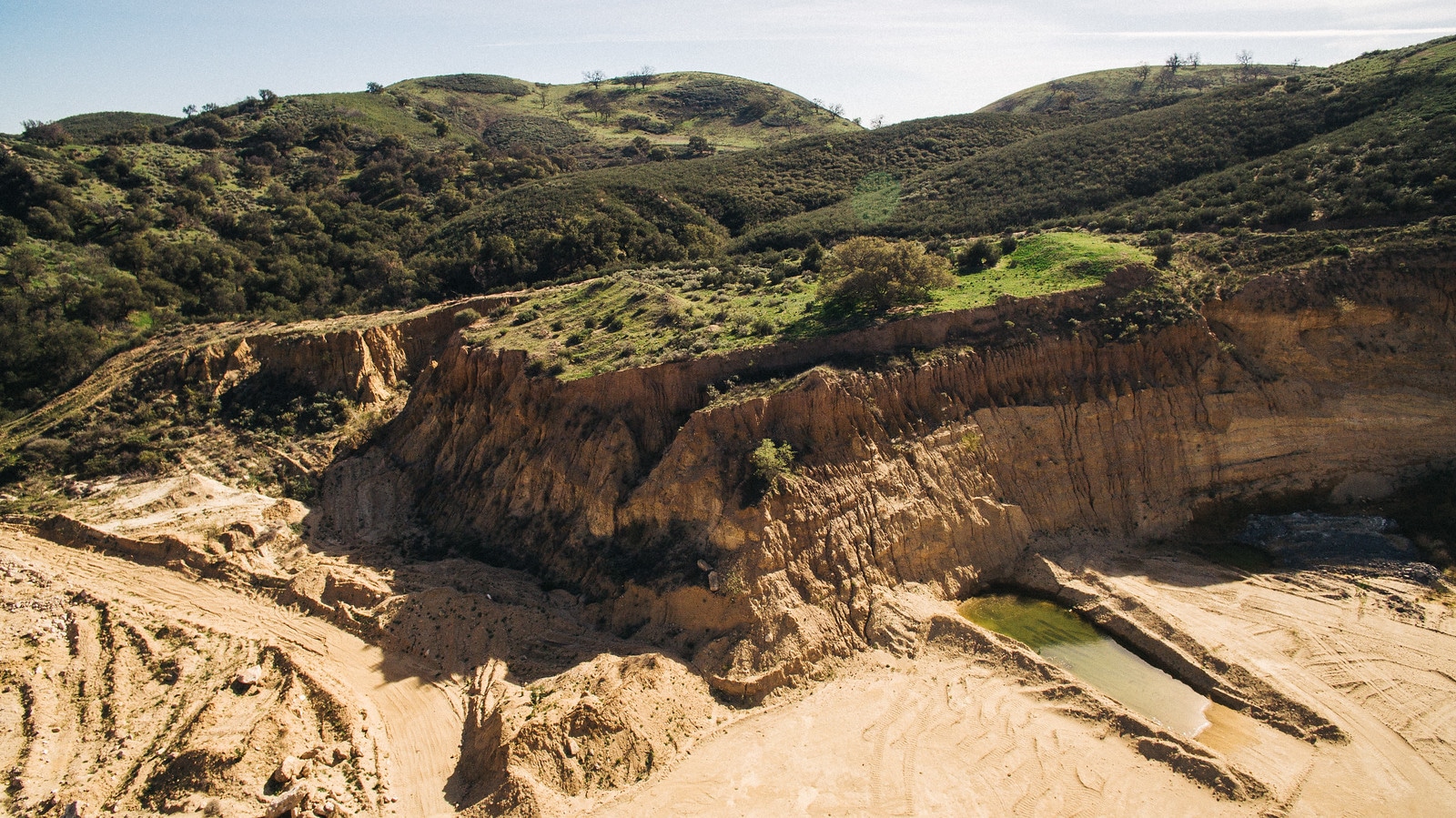 P W Gillibrand Quarry, Cattle and Beach too. - Gallery Image