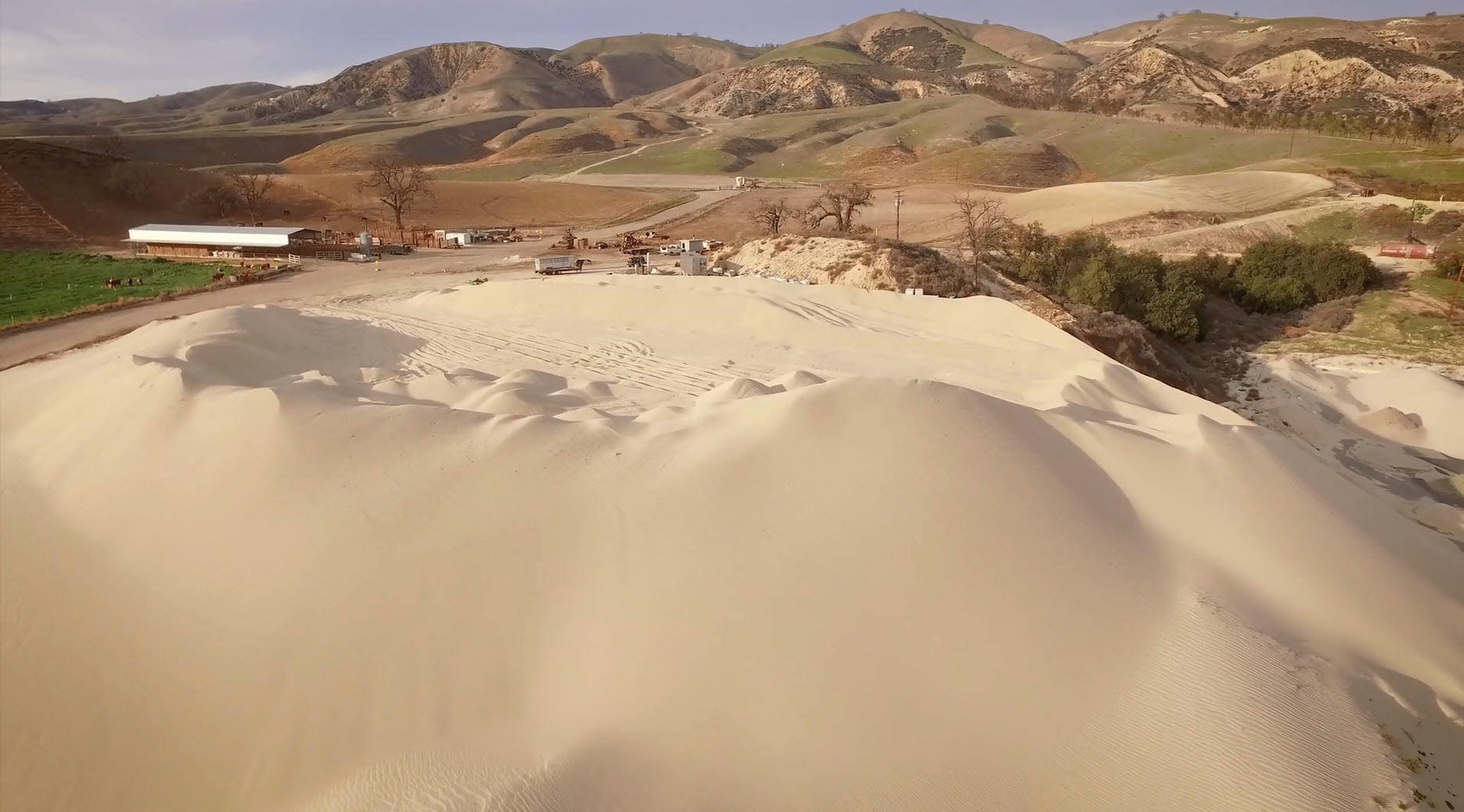 P W Gillibrand Quarry, Cattle and Beach too. - Gallery Image