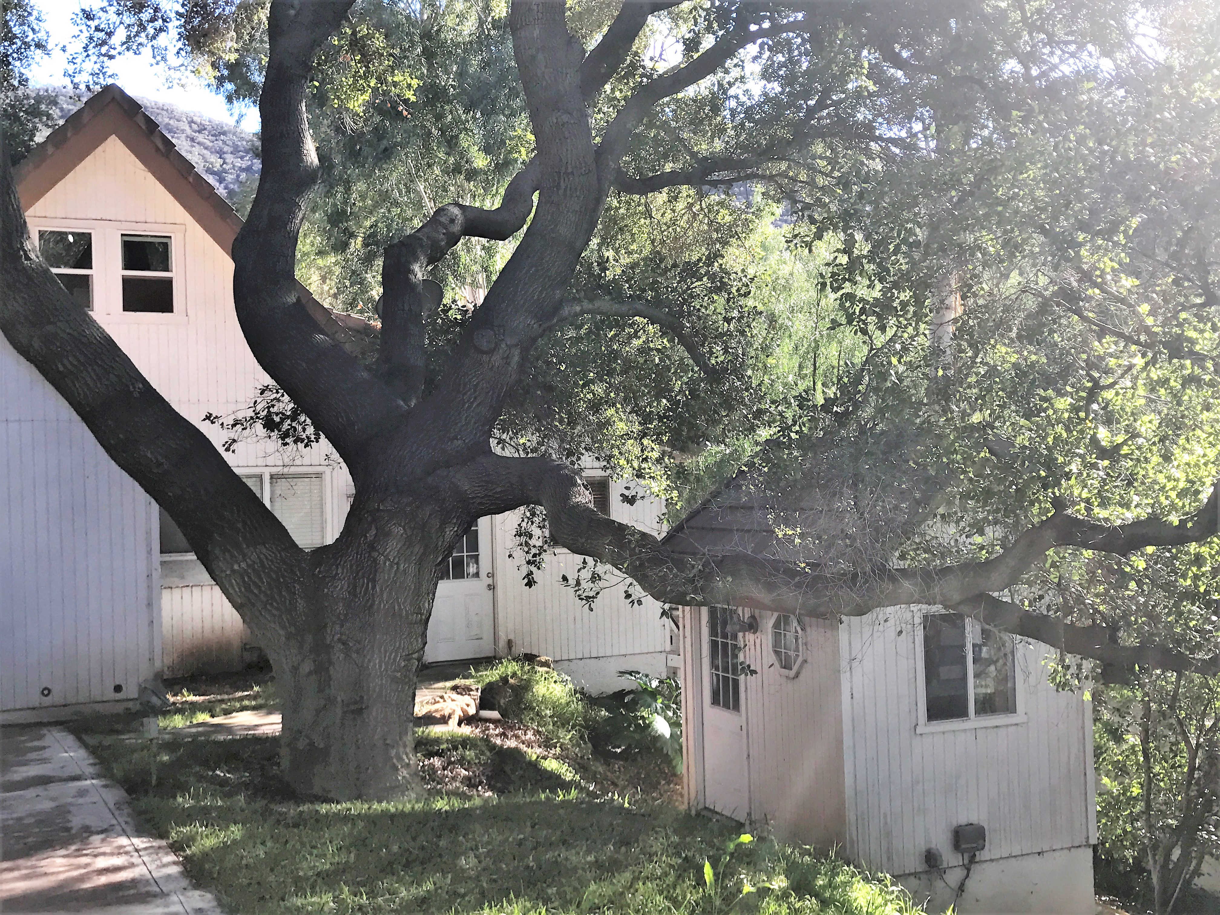 Hidden Valley 1970's Art Deco Home on 5 Acre Ranch - Gallery Image