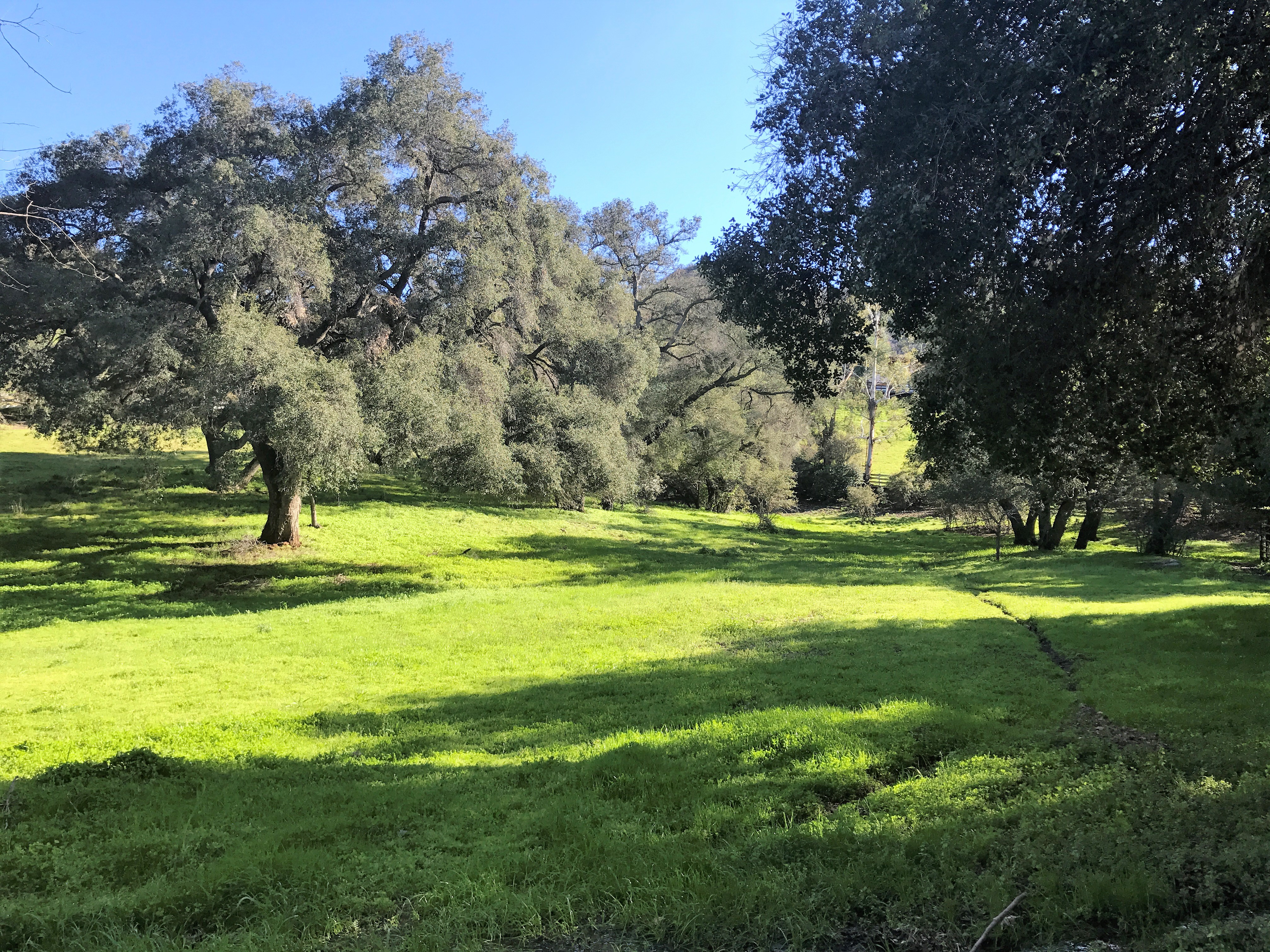Hidden Valley 1970's Art Deco Home on 5 Acre Ranch - Gallery Image