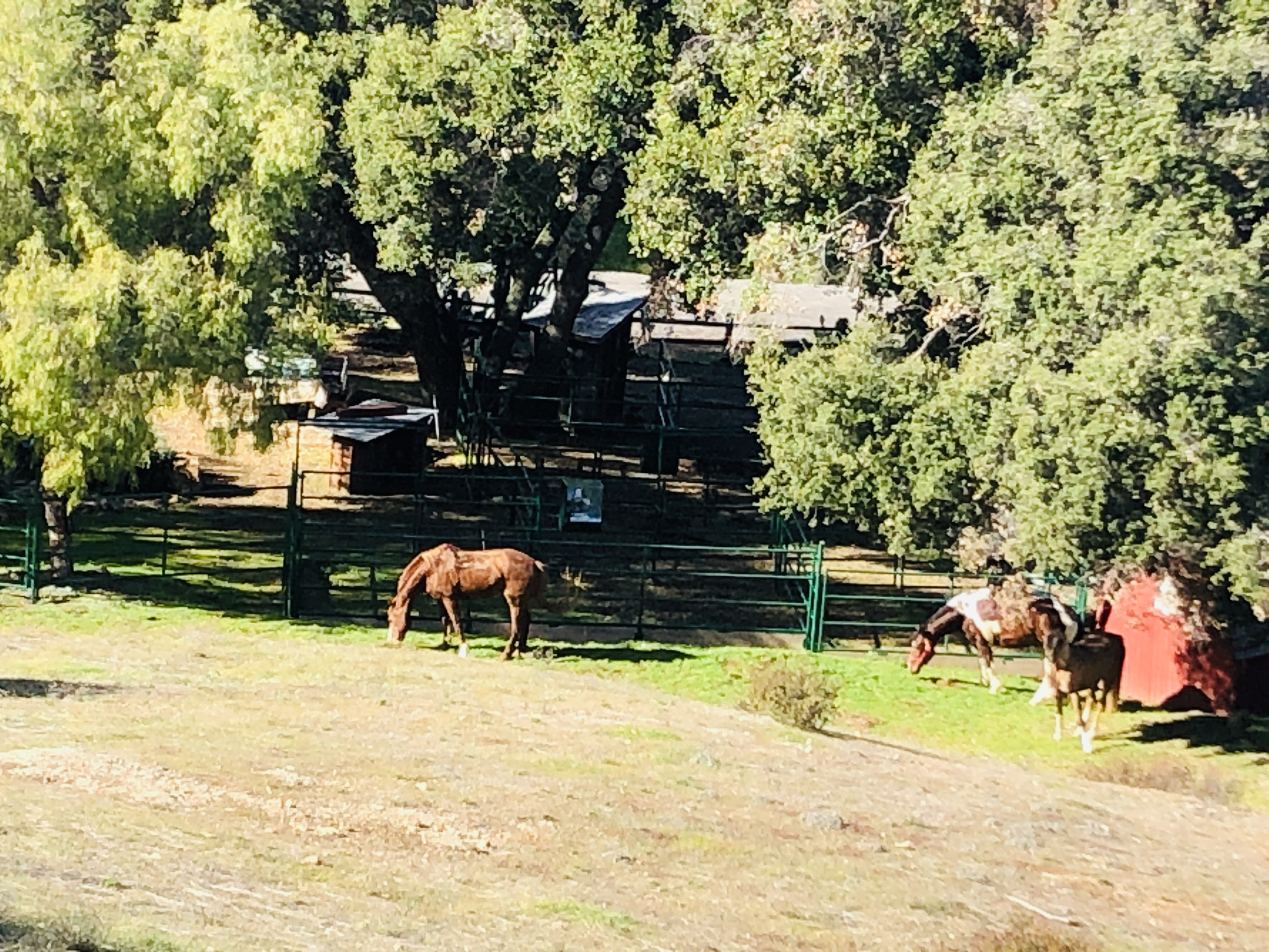 Prospector Ranch Near Thousand Oaks - Gallery Image