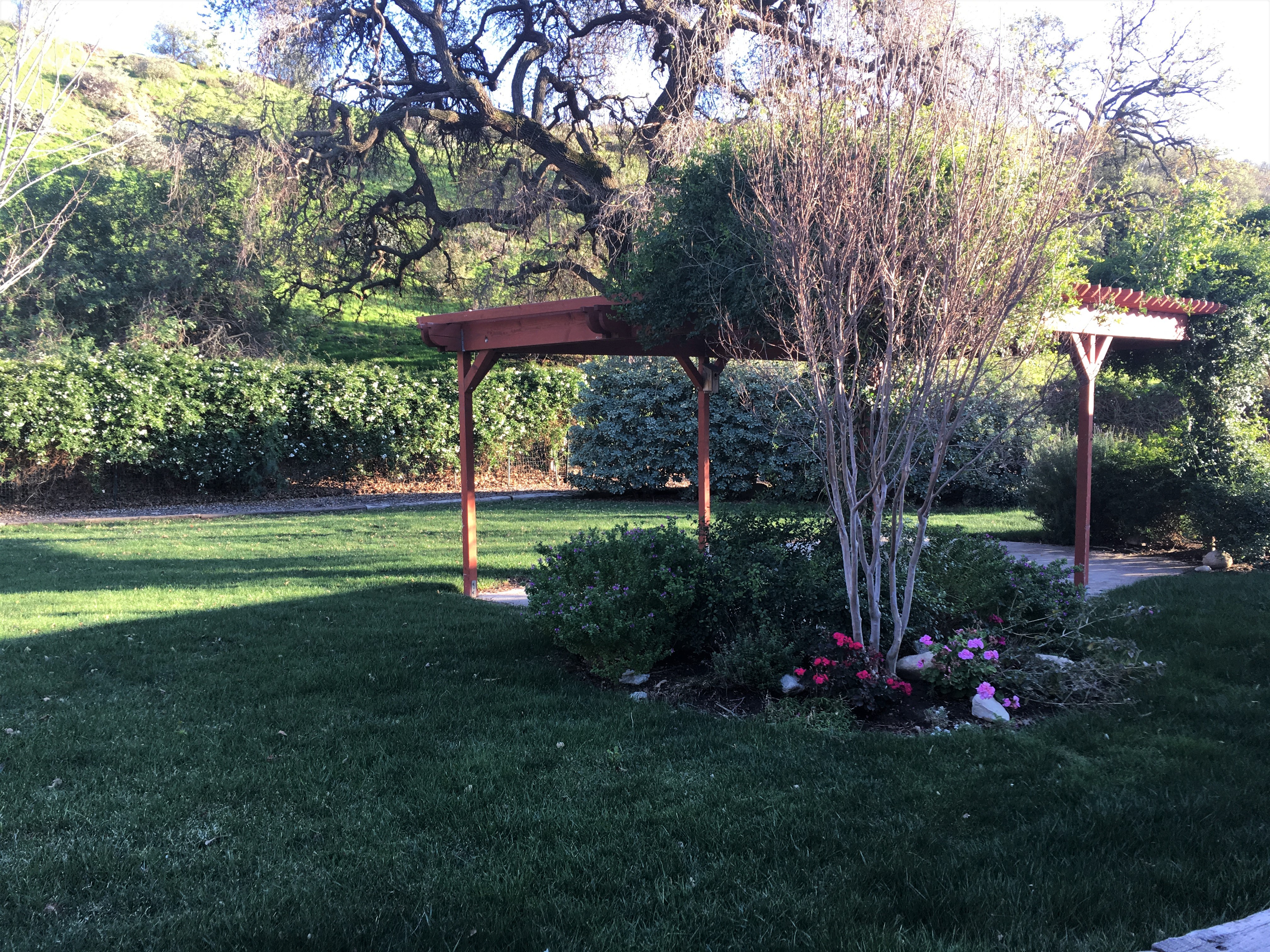 Contemporary Ranch Setting - Heath Kizzier - Gallery Image