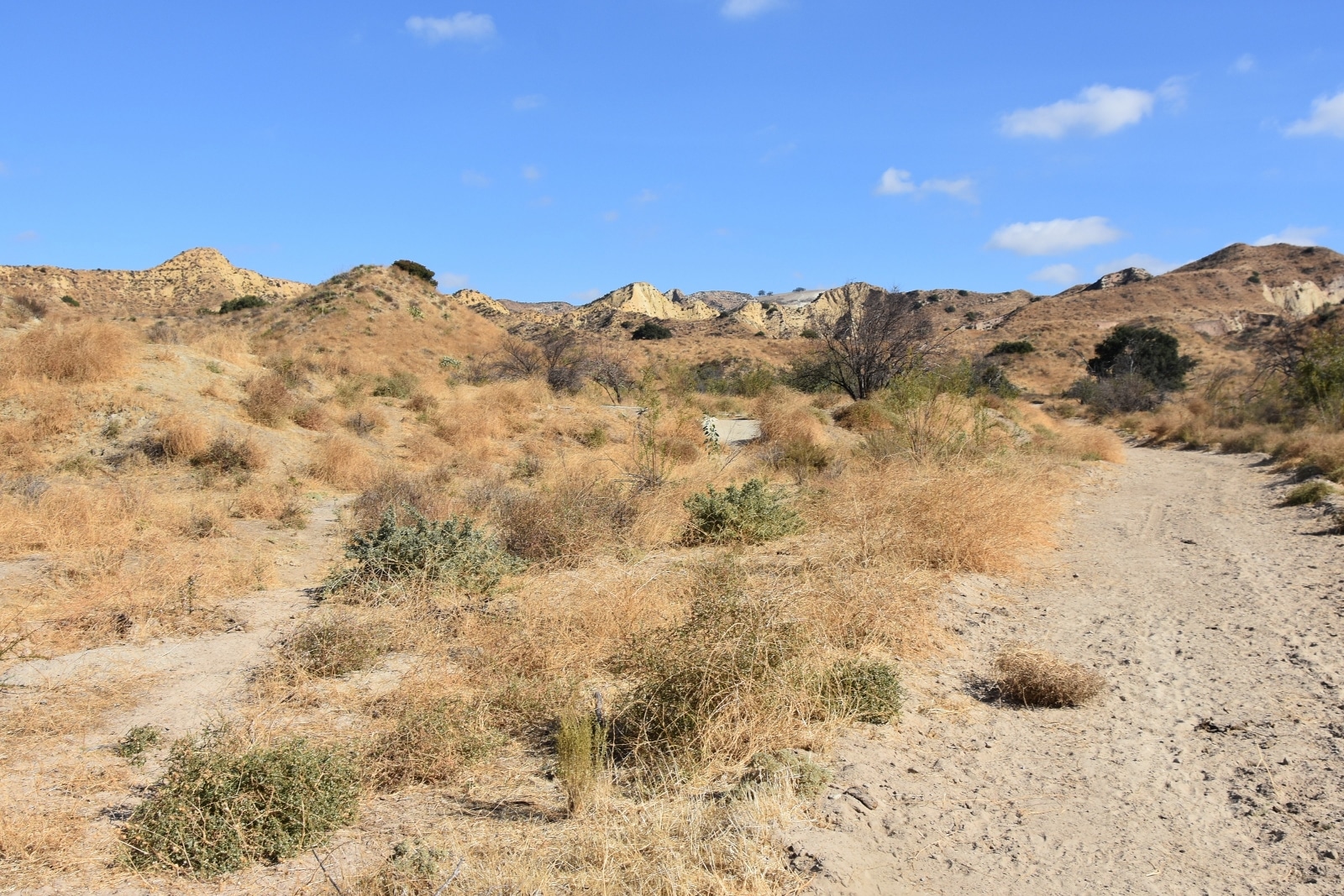 76 Movie Ranch - Allied Studios - Gallery Image