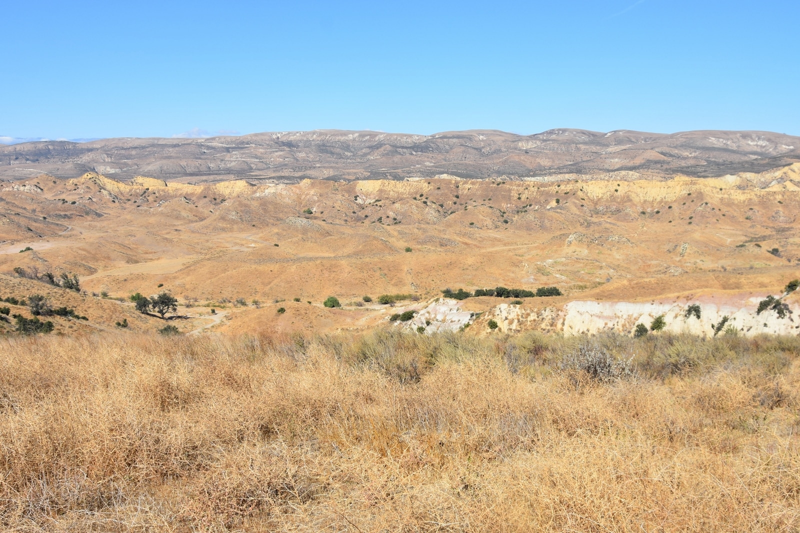 76 Movie Ranch - Allied Studios - Gallery Image