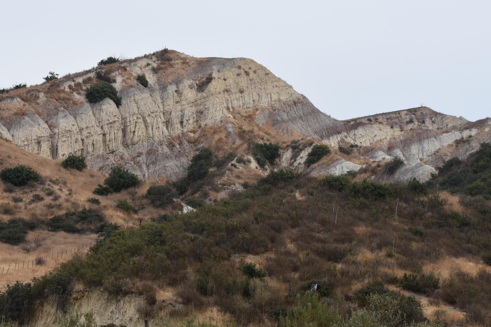 76 Movie Ranch - Allied Studios - Gallery Image