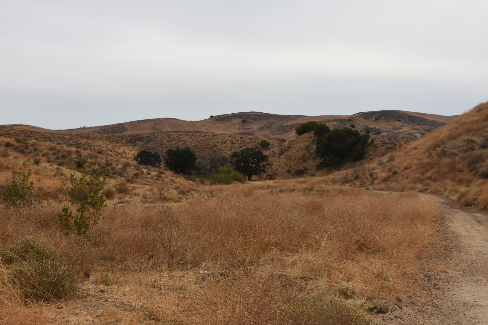 76 Movie Ranch - Allied Studios - Gallery Image