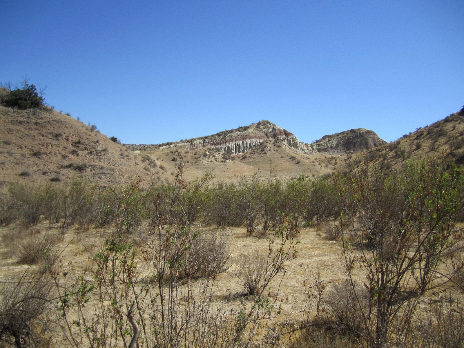 76 Movie Ranch - Allied Studios - Gallery Image