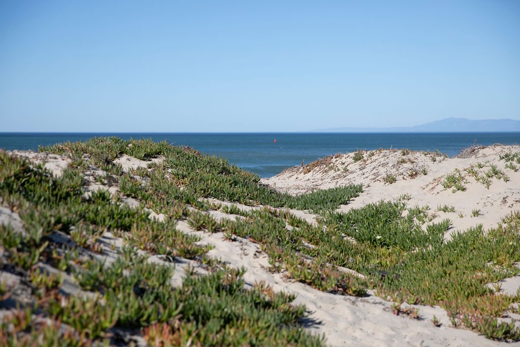 Ventura Harbor - Gallery Image