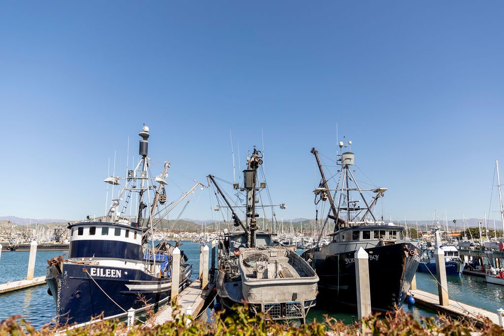 Ventura Harbor - Gallery Image