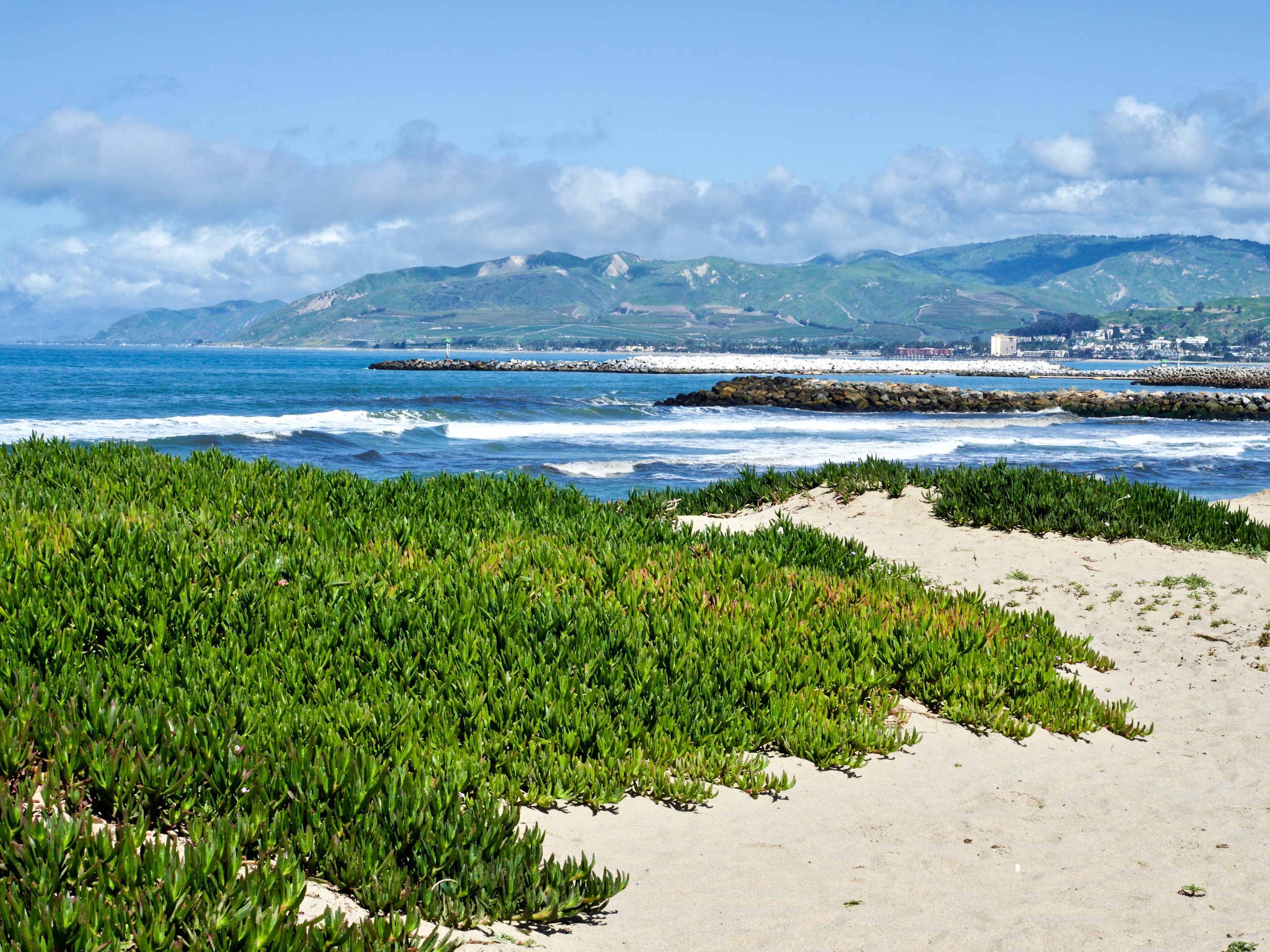 Ventura Harbor - Gallery Image