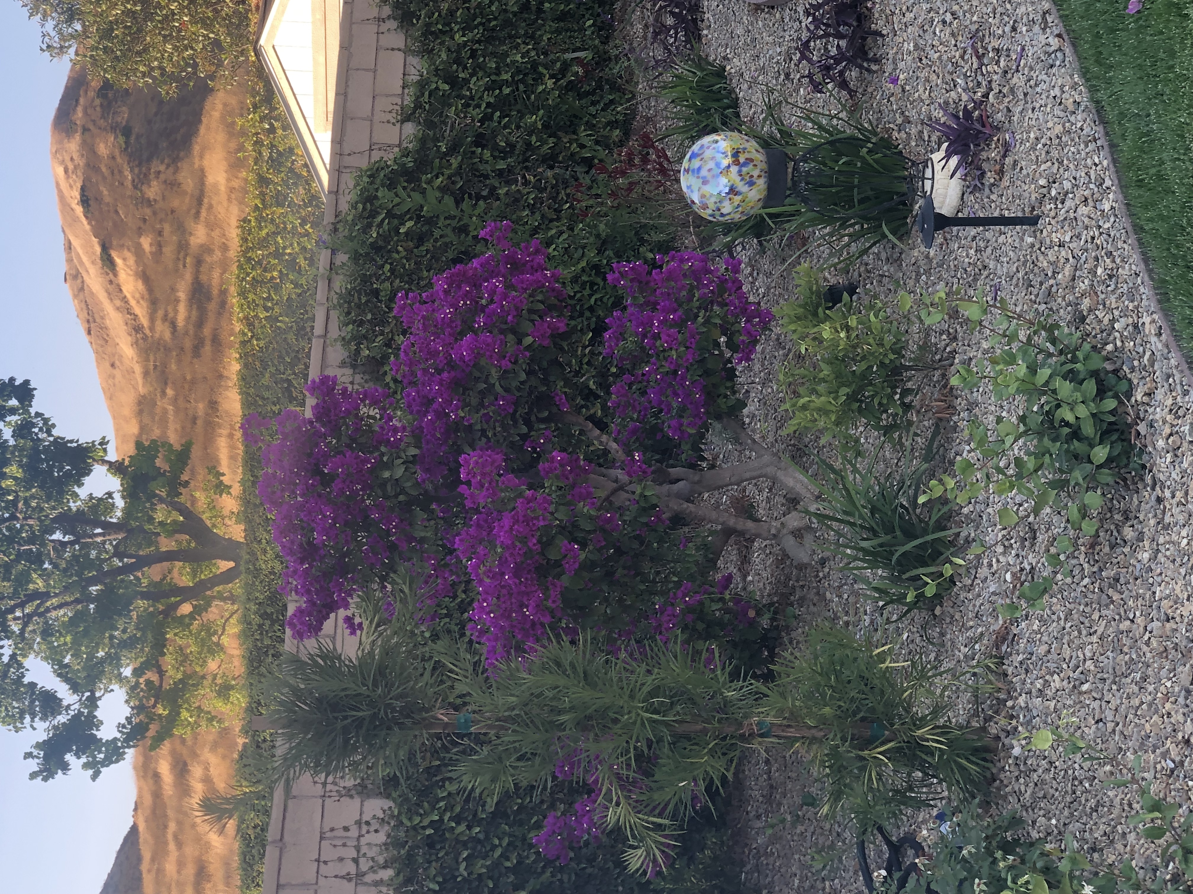 Residential Home Simi Valley Roseann DiGiovanni - Gallery Image