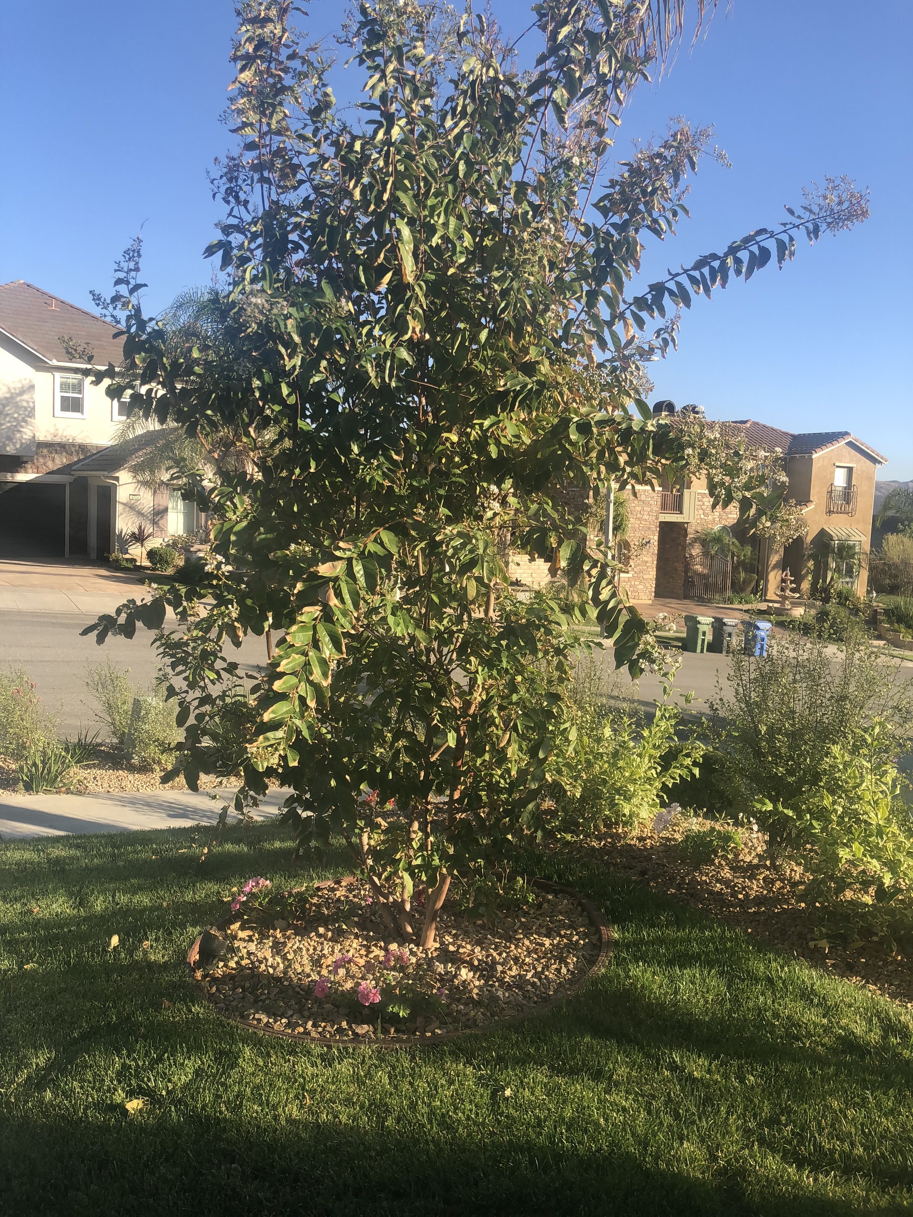 Residential Home Simi Valley Roseann DiGiovanni - Gallery Image