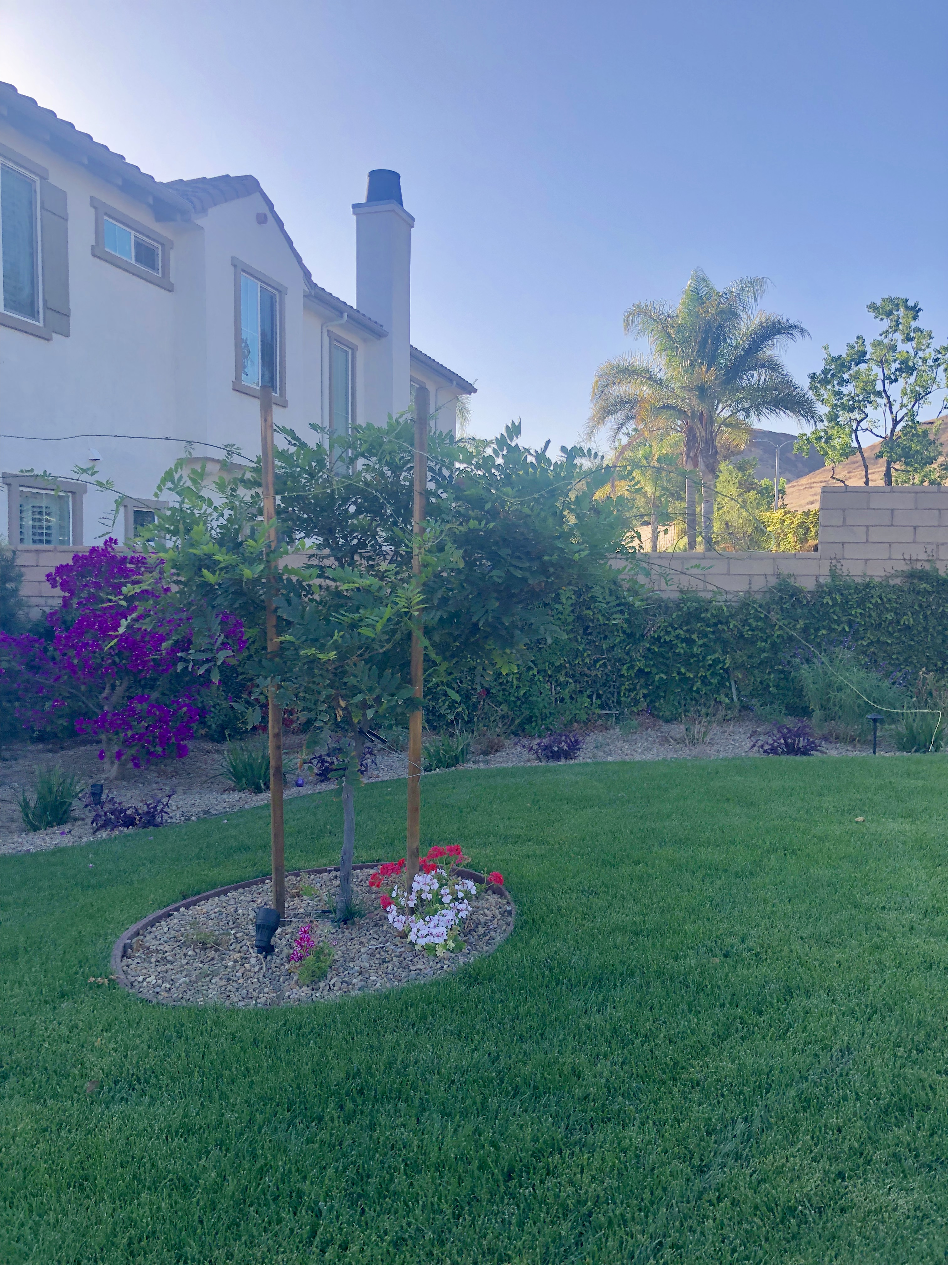 Residential Home Simi Valley Roseann DiGiovanni - Gallery Image