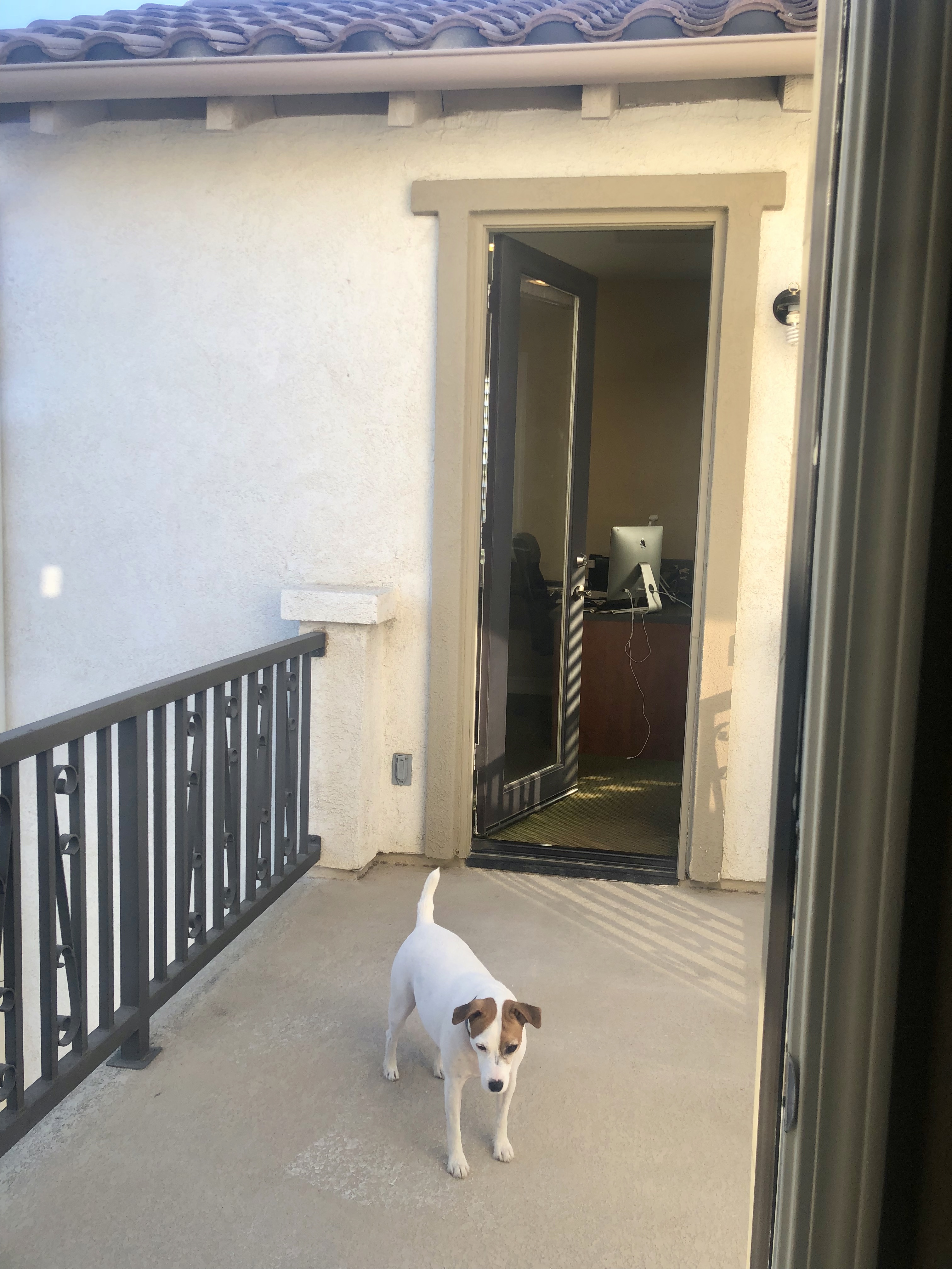 Residential Home Simi Valley Roseann DiGiovanni - Gallery Image