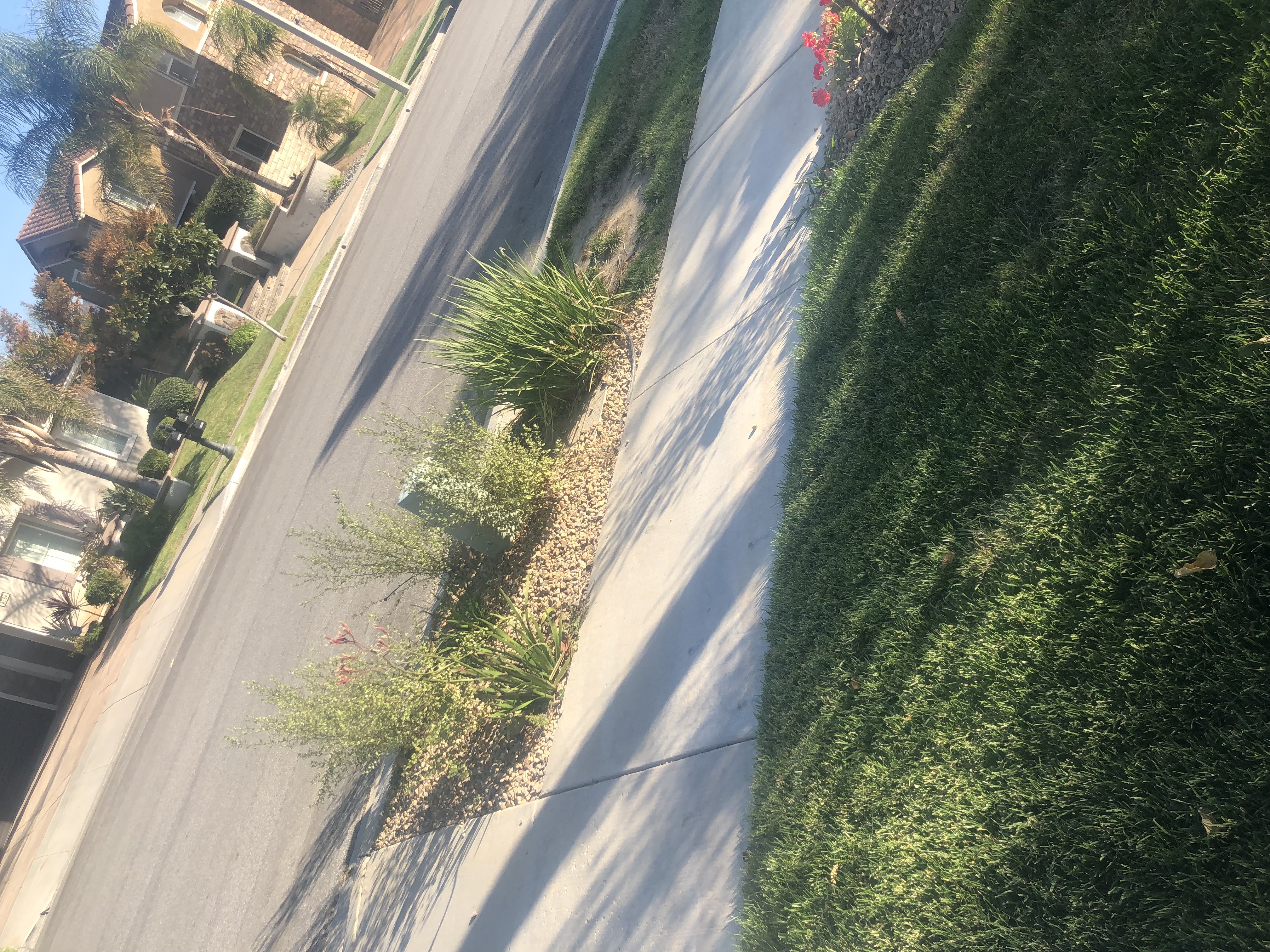 Residential Home Simi Valley Roseann DiGiovanni - Gallery Image