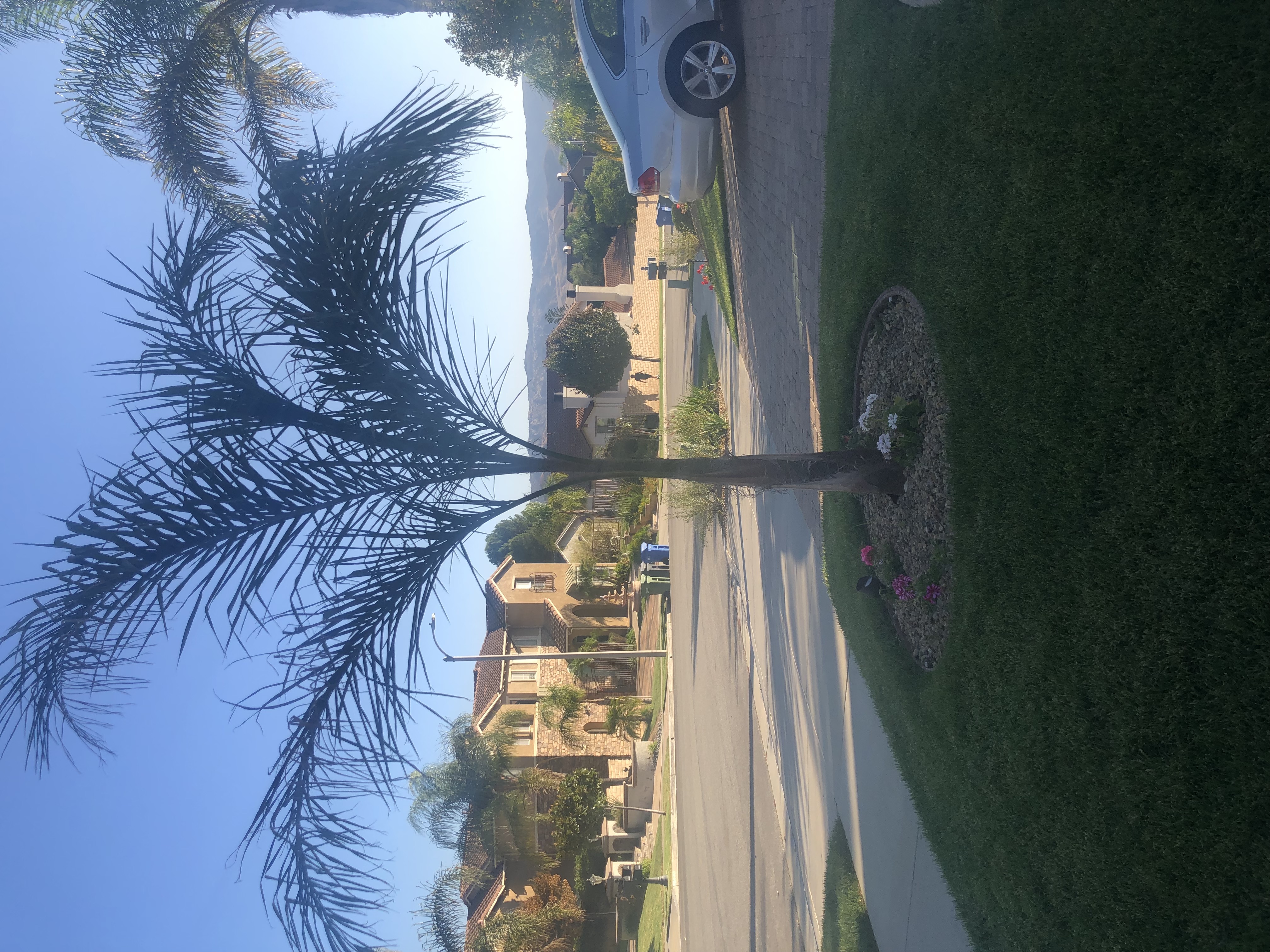 Residential Home Simi Valley Roseann DiGiovanni - Gallery Image