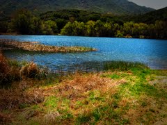 Lower Rose Lake - Hero Image