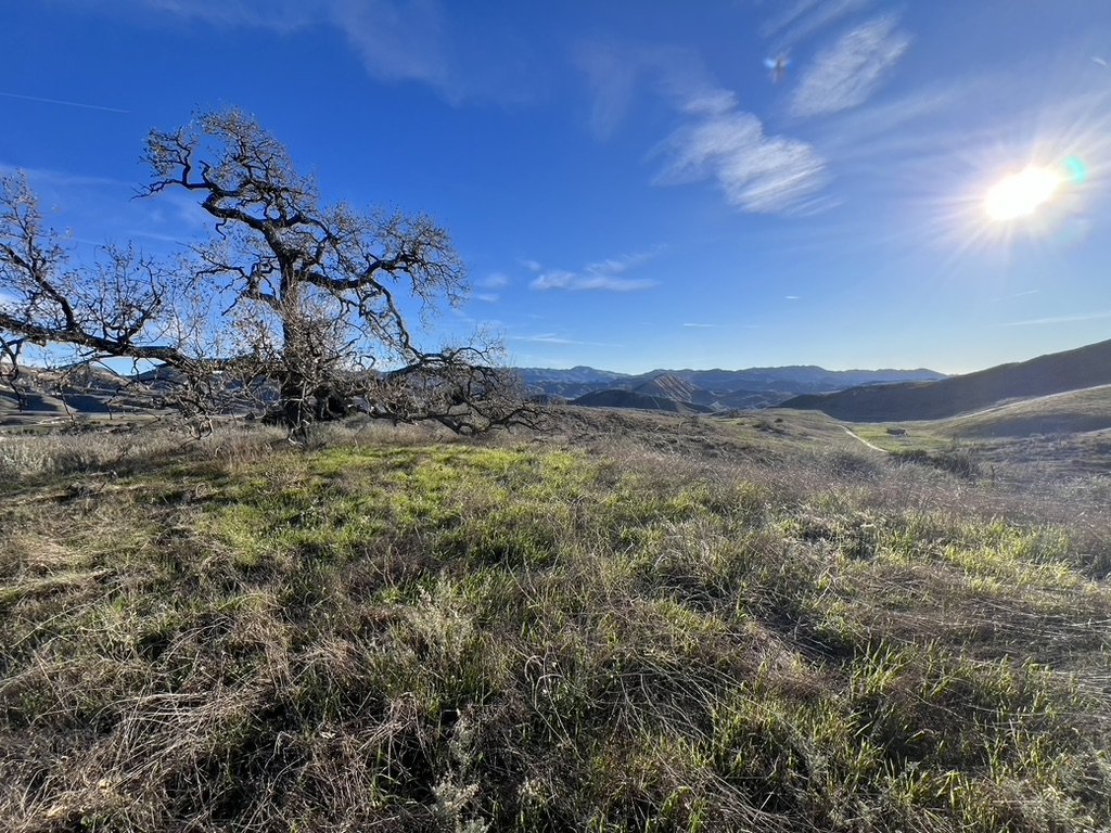 Big Sky Movie Ranch - Rob Frank Manager - Hero Image