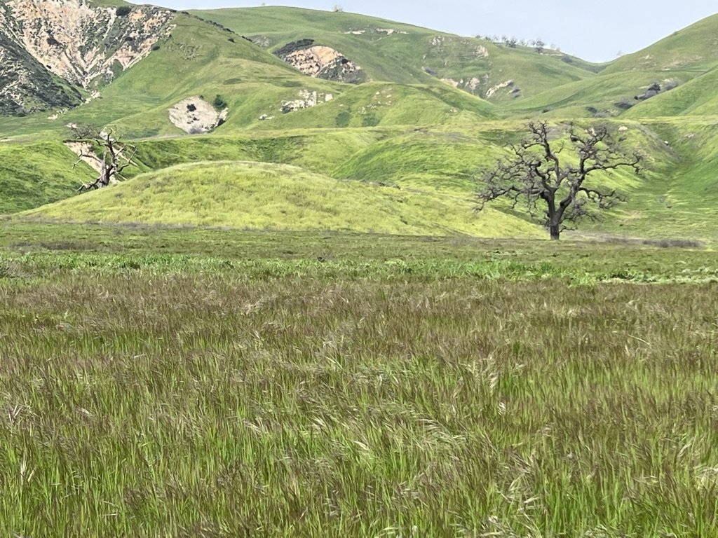 Big Sky Movie Ranch - Rob Frank Manager - Gallery Image