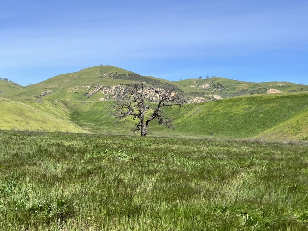 Big Sky Movie Ranch - Rob Frank Manager - Gallery Image