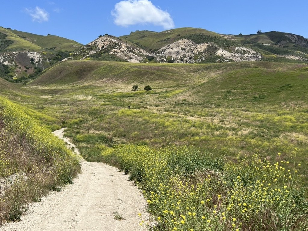 Big Sky Movie Ranch - Rob Frank Manager - Gallery Image
