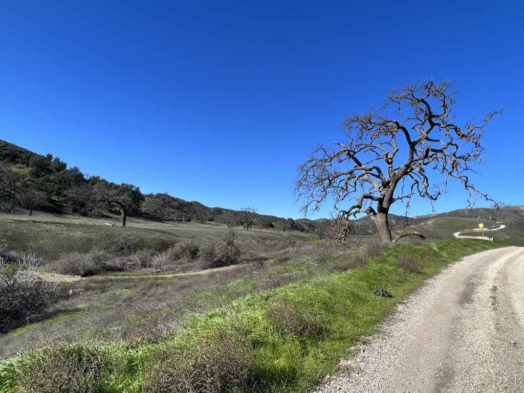 Big Sky Movie Ranch - Rob Frank Manager - Gallery Image